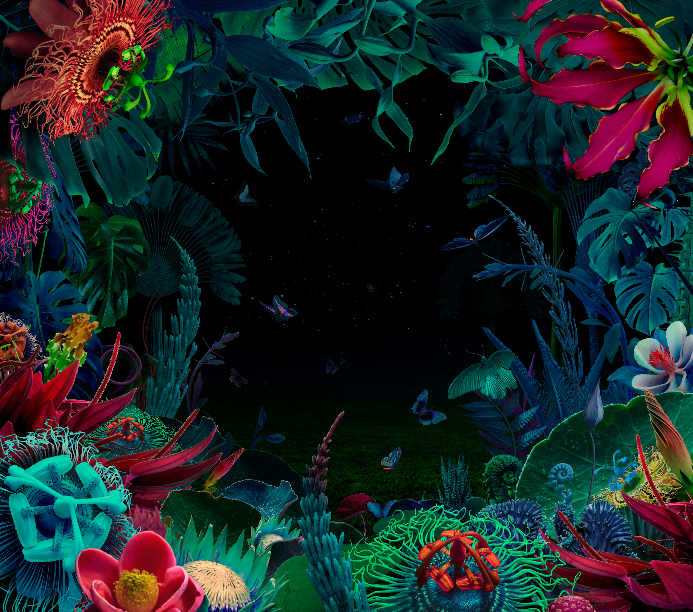 Fairy night tropical garden